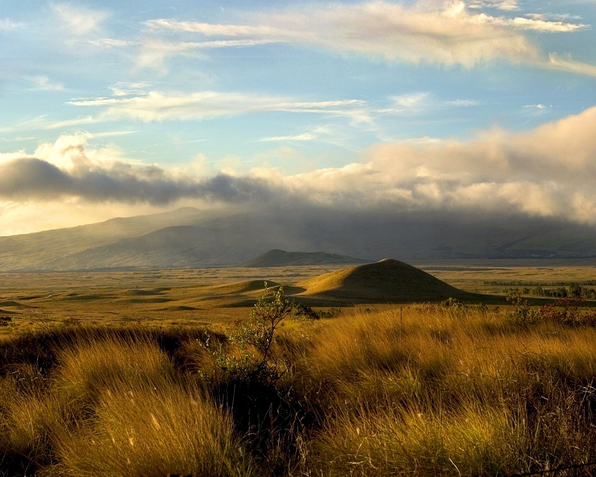 Oliver Wasow, Saddle Road
2004, Archival inkjet